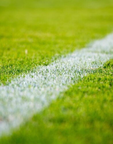 fussball-rasen Rrasenanlagen & Sportplatzsanierung