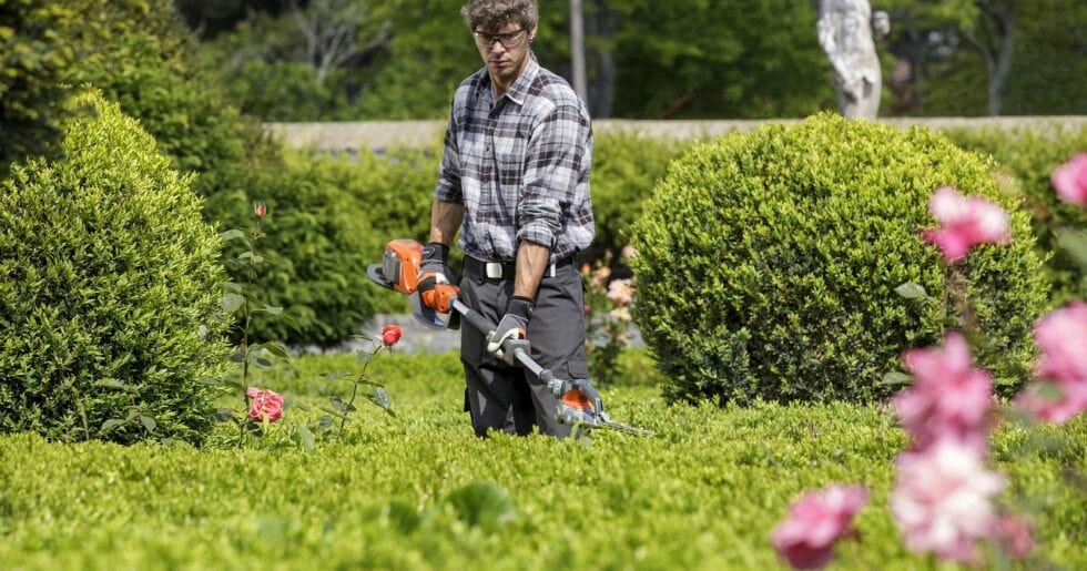 Hecke schneiden
