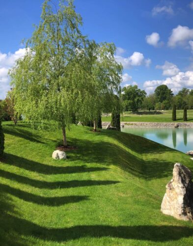 stacks-image-27f3a1c-1200x900@2x Gartengestaltung