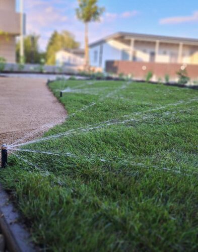 stacks-image-6804555-1200x898@2x stacks-image-6804555-1200x898@2x